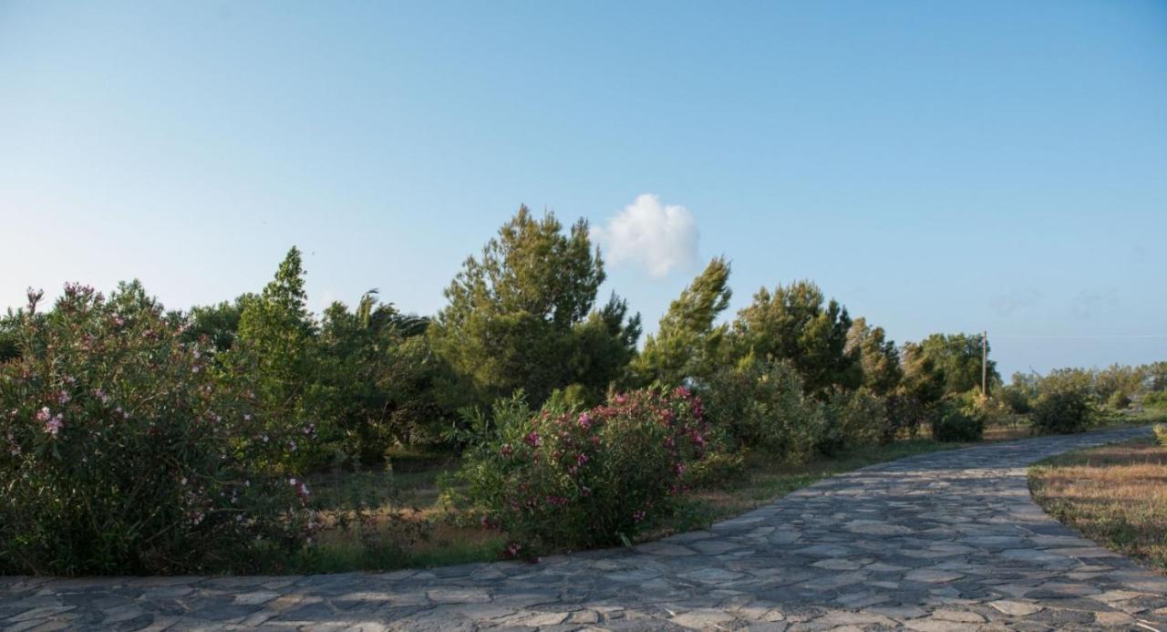 Kouremenos Beach House West Sitia  Buitenkant foto